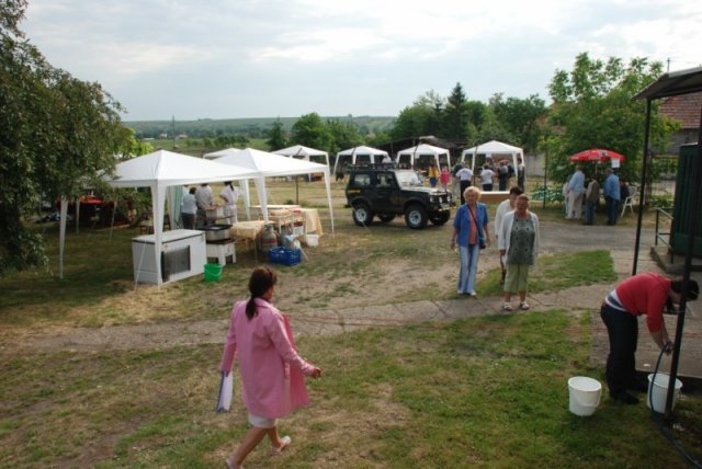 Derelyefesztivál - 2009