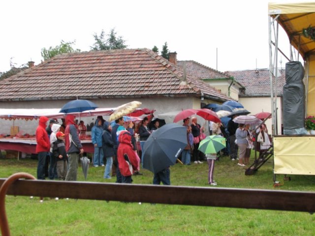 Derelyefesztivál - 2010