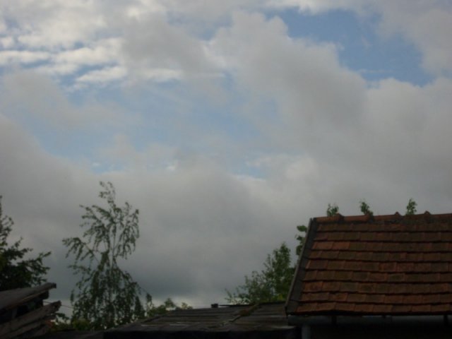 Derelyefesztivál - 2010