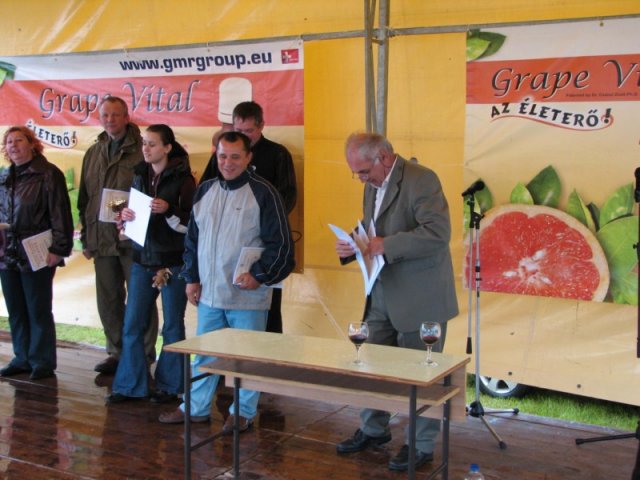 Derelyefesztivál - 2010