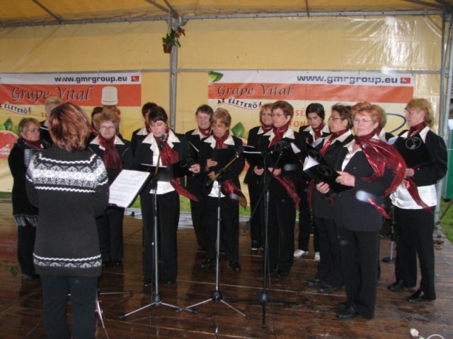 Derelyefesztivál - 2010