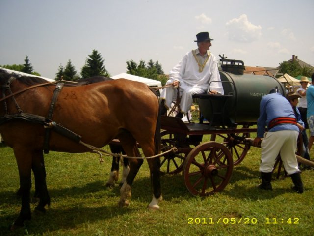 Derelyefesztivál - 2011