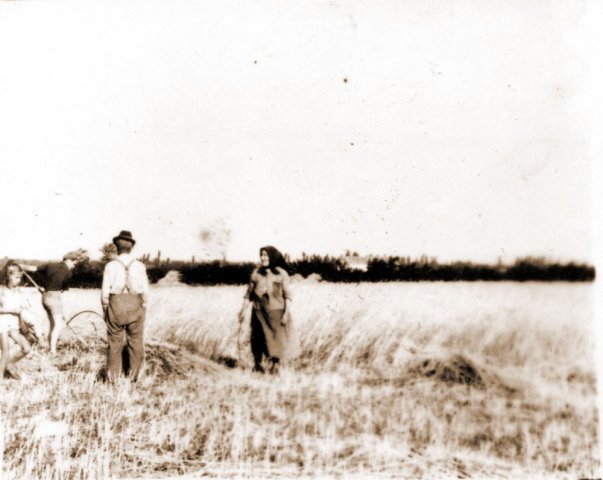 Nagyváradi István