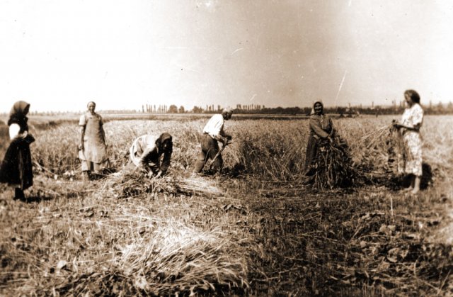 Nagyváradi István