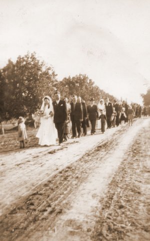 Petővári Ferenc