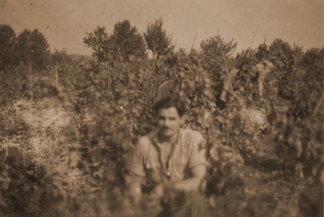 Petővári Ferenc