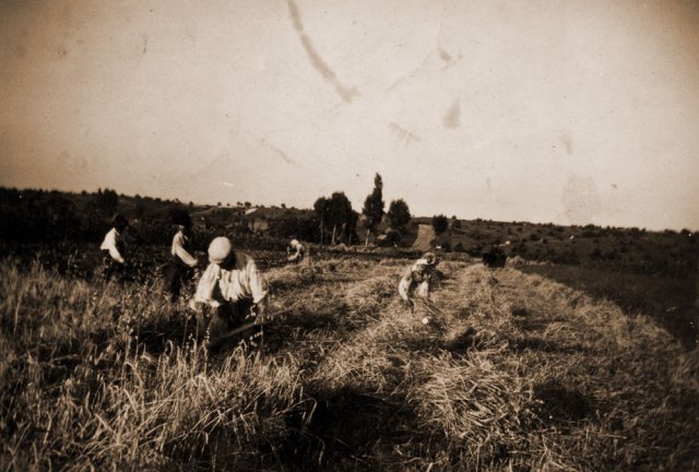 petovari_album_133_01c903