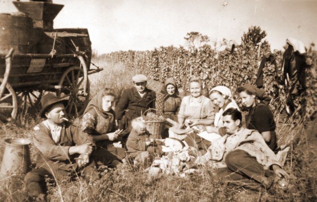 petovari_album_136_04c903
