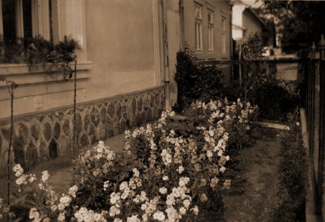 petovari_album_137_03c903