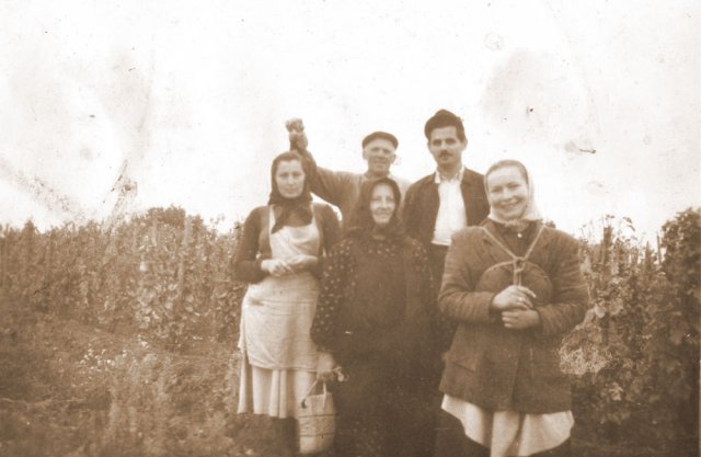 petovari_album_224_2c903