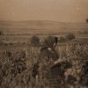 petovari_album_113_03c903