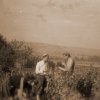 petovari_album_113_04c903