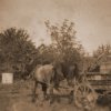 petovari_album_113_05c903