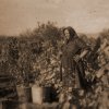 petovari_album_114_02c903