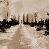 petovari_album_128_05c903