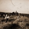 petovari_album_133_01c903