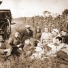 petovari_album_136_04c903