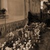 petovari_album_137_03c903