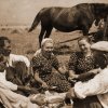 petovari_album_141_04c903