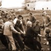 petovari_album_226_2c903