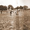 petovari_album_232_4c903