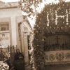 petovari_album_242_3c903