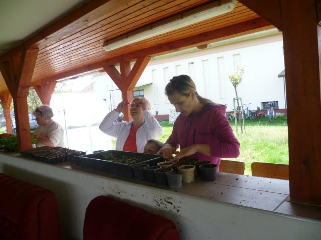 2016-faluszépítés