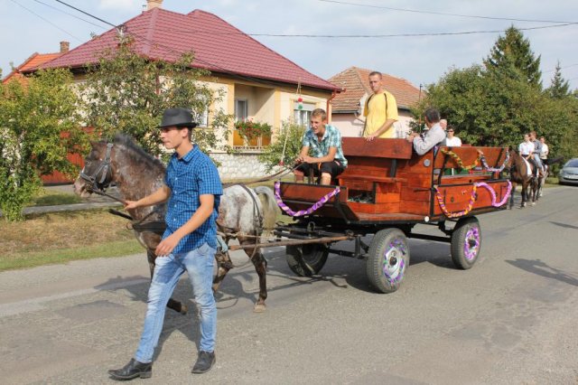 2016-szüreti felvonulás