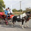 2016-szüreti felvonulás