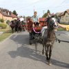 2016-szüreti felvonulás