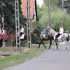 2016-szüreti felvonulás