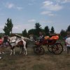 2017 3.Gulyásfesztivál
