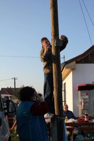 2017 Szent Iván éji tűzgyújtás, Májusfa állítás