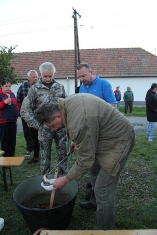 2017 Szent Iván éji tűzgyújtás, Májusfa állítás