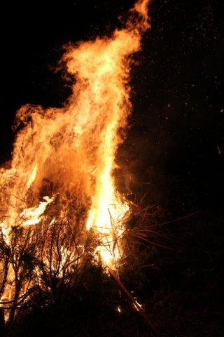 2017 Szent Iván éji tűzgyújtás, Májusfa állítás