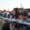 2017 Szent Iván éji tűzgyújtás, Májusfa állítás