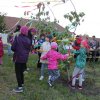 2017 Szent Iván éji tűzgyújtás, Májusfa állítás