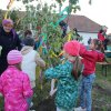 2017 Szent Iván éji tűzgyújtás, Májusfa állítás