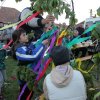 2017 Szent Iván éji tűzgyújtás, Májusfa állítás