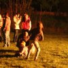 2017 Szent Iván éji tűzgyújtás, Májusfa állítás
