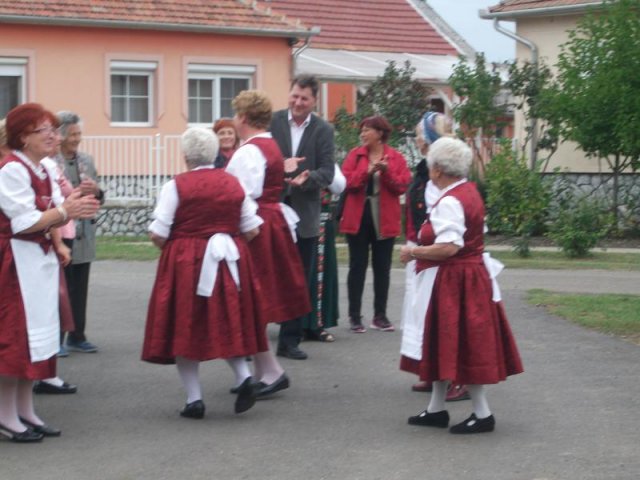 2017 Szüreti felvonulás