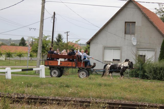 2017 Szüreti felvonulás