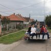 2017 Szüreti felvonulás