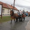 2018-Szüreti felvonulás