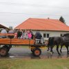 2018-Szüreti felvonulás