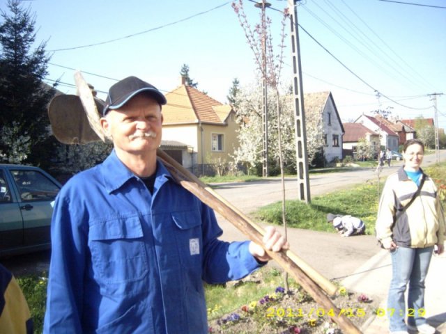 Takarítás 2011
