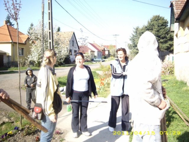Takarítás 2011