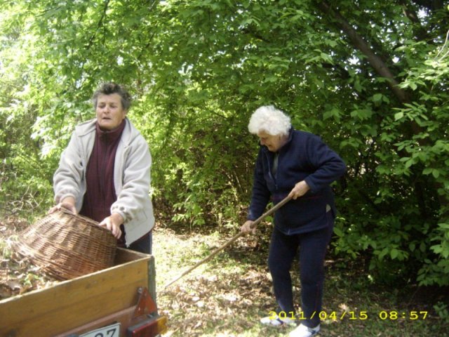 Takarítás 2011