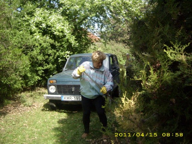Takarítás 2011