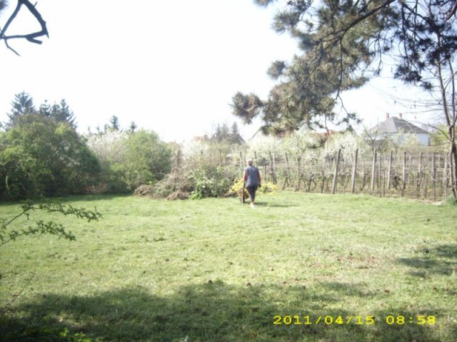 Takarítás 2011